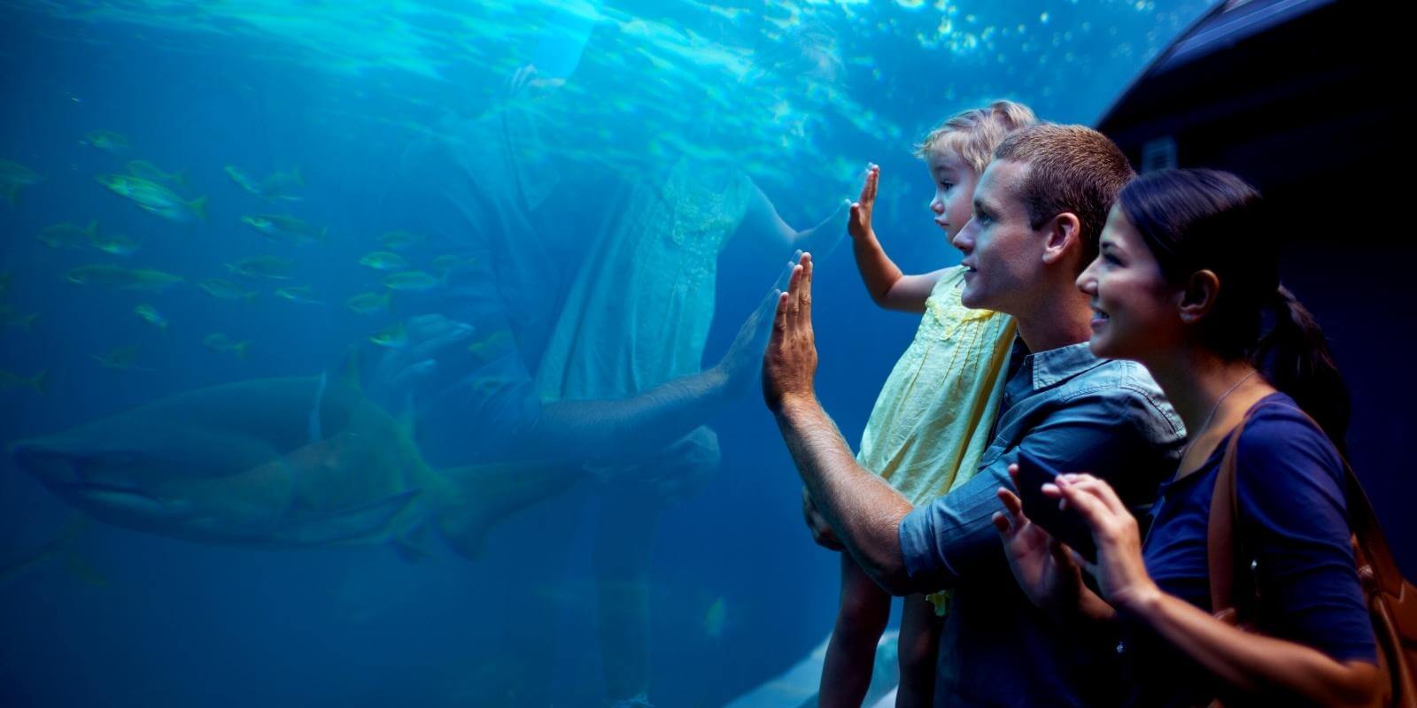 Family Day Weekend in Vancouver Aquarium